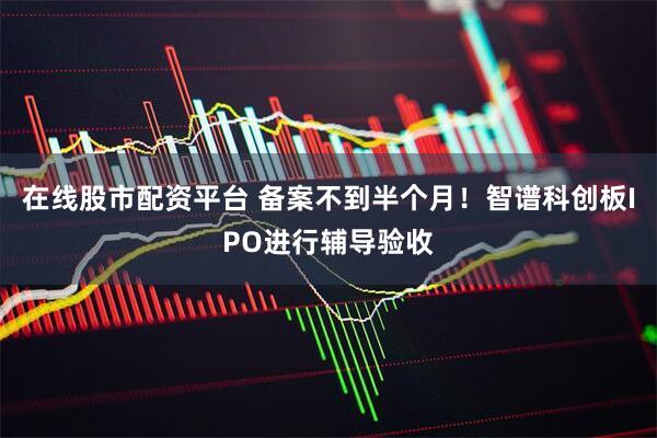 在线股市配资平台 备案不到半个月！智谱科创板IPO进行辅导验收